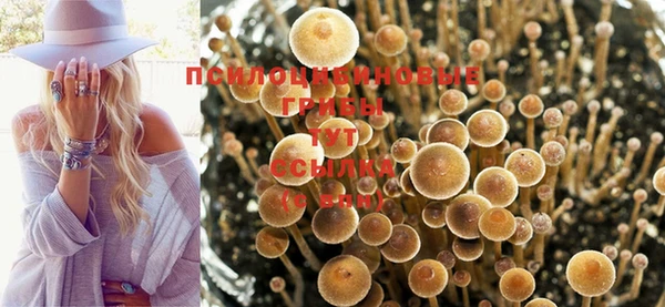 кристаллы Алексин