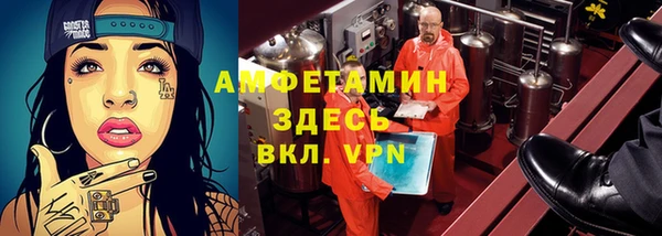 твердый Инсар